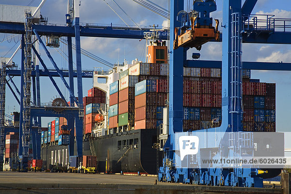 Container port  Charleston  South Carolina  United States of America  North America