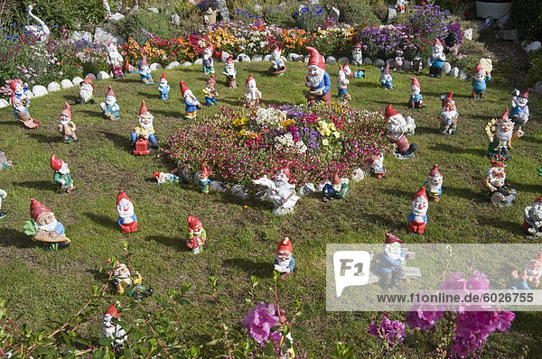 Gnomes Port Stanley Falkland Islands South America