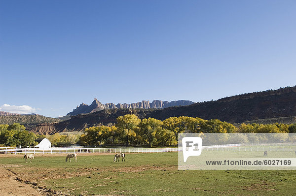 Landscape near Zion National Park Utah United States of America North America