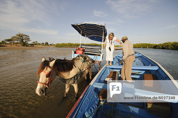 Delivering passangers to pirogue or fishing boat on the backwaters of the Sine Saloum delta  Senegal  West Africa  Africa