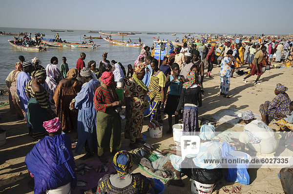 Mbour Fish Market  Mbour  Senegal  Westafrika  Afrika