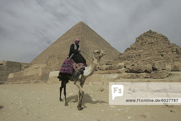 Ein Beduine mit seinem Kamel durch die Gizeh Pyramiden  UNESCO Weltkulturerbe  Ägypten  Nordafrika  Afrika