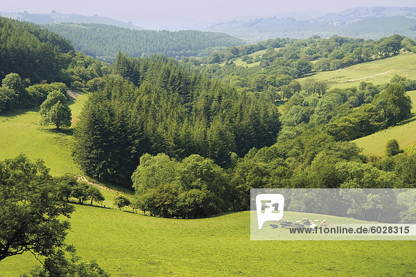 Lande  Powys  Wales  Wales  Vereinigtes Königreich  Europa