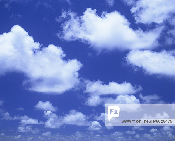 Blauer Himmel mit geschwollenen weißen Cumuluswolken nahe Taupo  Neuseeland  Pazifik