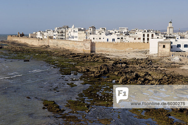 Old waterfront city behind ramparts  Essaouira  historic city of Mogador  Morocco  North Africa  Africa