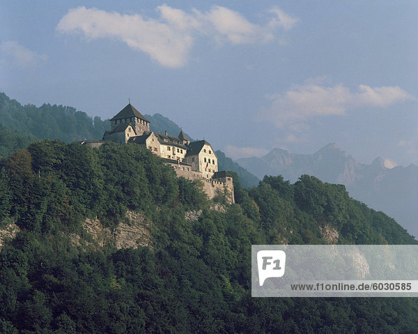 Schloss Vaduz  Lichtenstein  Europa