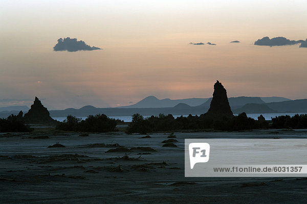 Die trostlose Landschaft von Lac Abbe  gesprenkelt mit Kalkstein Schornsteine  Dschibuti  Afrika