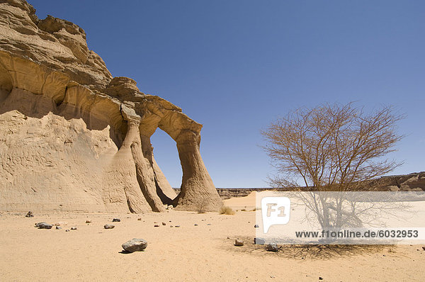 Zinn Ghalega Fels Bildung  Red Rhino Arch  Wadi Teshuinat  Akakus  Sahara Wüste  Fessan  Libyen  Nordafrika  Afrika
