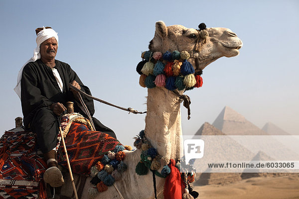 Ein Beduinen-Reiseführer mit seinem Kamel  mit Blick auf das Pyramiden von Gizeh  Kairo  Ägypten  Nordafrika  Afrika