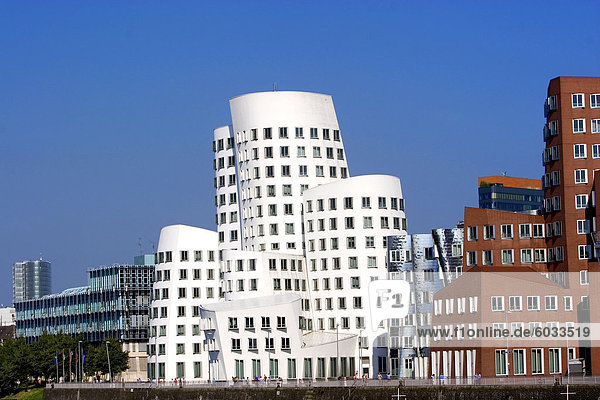 Der Bau Neuer Zollhof von Frank Gehry im Medienhafen (Media Harbour)  Düsseldorf  Nord Rhein Westfalen  Deutschland  Europa
