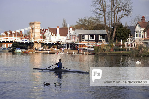 Mann Rudern auf Themse nahe Rowing Club  Marlow Hängebrücke im Hintergrund  Marlow  Buckinghamshire  England  Vereinigtes Königreich  Europa