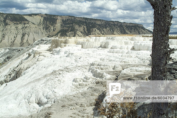 Mammut Thermalbad Yellowstone National Park UNESCO World Heritage Site Wyoming Vereinigte Staaten von Amerika Nordamerika