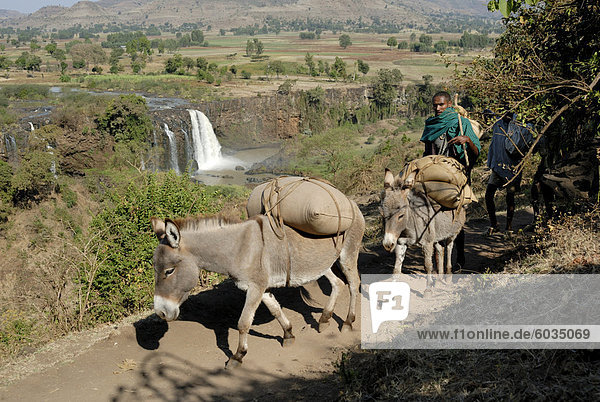 Stammesangehörige  Tisissat-Wasserfälle  Äthiopien  Afrika