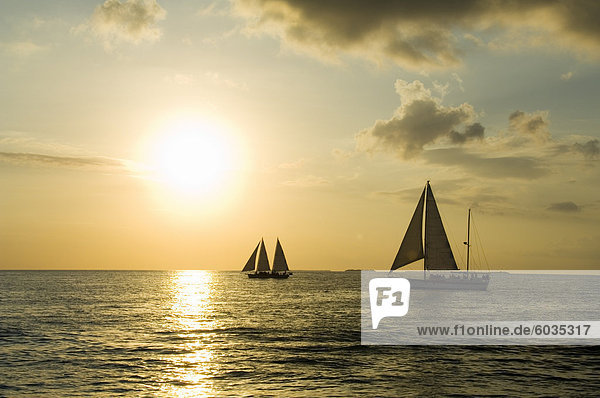 Segelboote bei Sonnenuntergang  Key West  Florida  Vereinigte Staaten von Amerika  Nordamerika