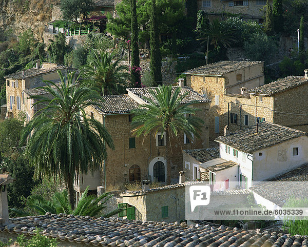 Dorfhäuser und Palmen bei Deya auf Mallorca  Balearen  Spanien  Europa