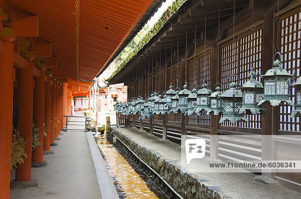 Tempel ich wünsche viel Glück für neue Ehen  Kasuga Schrein  Kyoto  der Insel Honshu  Japan  Asien