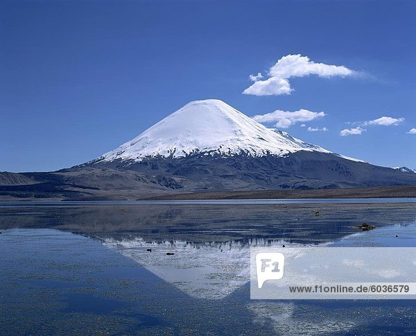 Vulkan Parinacota und Lake Chungara in der Lauca Nationalpark  Chile  Südamerika