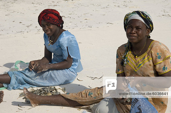 Einheimische Frauen in bunten Kleid sortieren Muscheln am Strand  Afrika  Ostafrika  Paje  Zanzibar  Tansania