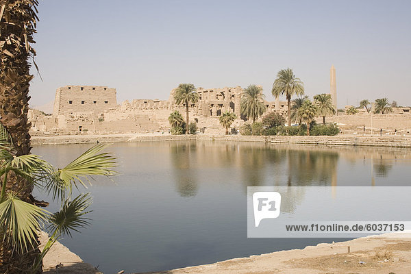 Heiliger See  Tempel von Karnak  Karnak  in der Nähe von Luxor  Theben  UNESCO World Heritage Site  Ägypten  Nordafrika  Afrika