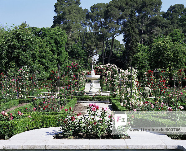 Rose Garden  Parque del Retiro  Madrid  Spain  Europe