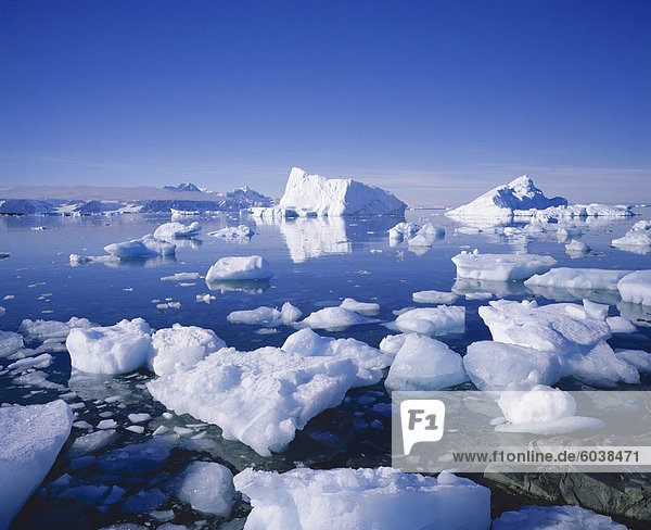 Eisberge und dreiste Eis  Antarktis  Polarregionen