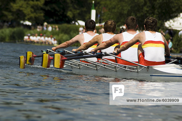 Rowing at the Henley Royal Regatta  Henley on Thames  England  United Kingdom  Europe