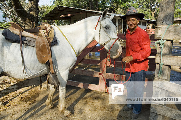 Horses  Hacienda Guachipelin  near Rincon de la Vieja National Park  Guanacaste  Costa Rica  Central America