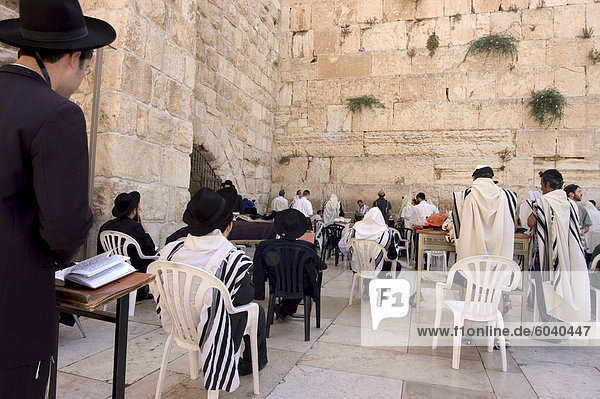 Praying at the Western (Wailing) Wall  Old Walled City  Jerusalem  Israel  Middle East