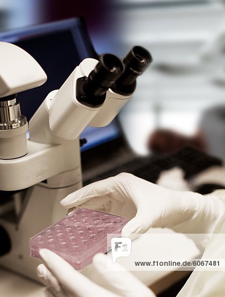 Wissenschaftler hält Reagenzglasständer