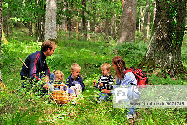 Familie im Wald Pilze sammeln