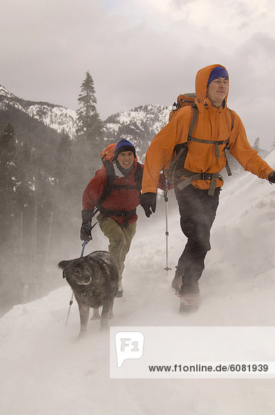 Two men and a dog hike on a snowy mountain with clouds in the background.