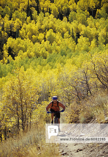 Berg  Mann  radfahren  Großstadt  Utah