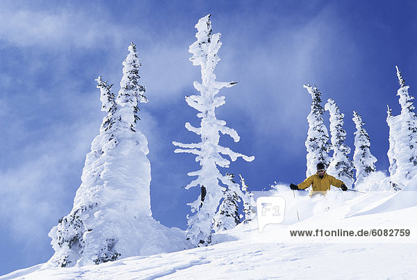 Solo male doing some deep powder skiing in the Montana backcountry.