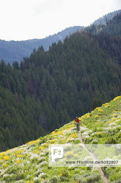 Mann Mountainbiken in Sun Valley  Idaho.