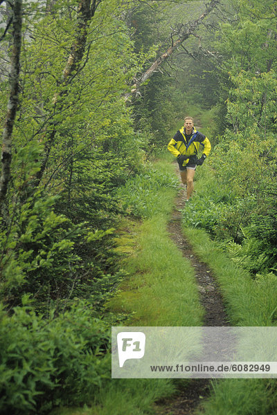 Male trail runner in a lush rainy forest.