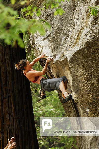A woman rock climbing in Yosemite Valley  California  USA.
