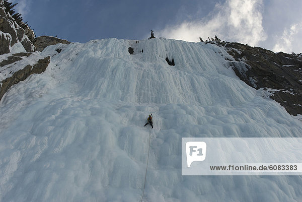 Eis  Wasserfall  Mittelpunkt  übergroß  Klettern  Columbia-Eisfeld  Columbia Icefield  Alberta  Kanada  gefroren
