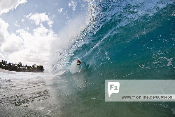 Mann  Strand  jung  Hawaii  North Shore  Oahu  Wellenreiten  surfen