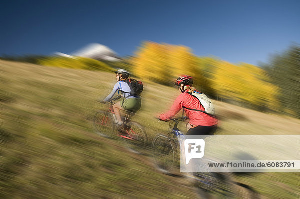 Two women mountain biking through yellow aspen trees  San Juan National Forest  Colorado. (motion blur)