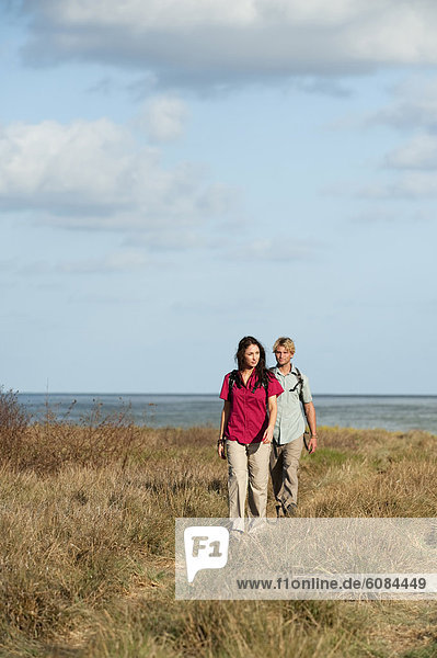 A couple hikes through Everglades National Park  Florida.