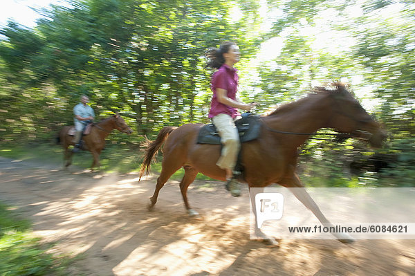 Frau  Bewegung  Mann  Bewegungsunschärfe  fahren  reiten - Pferd  Florida  mitfahren
