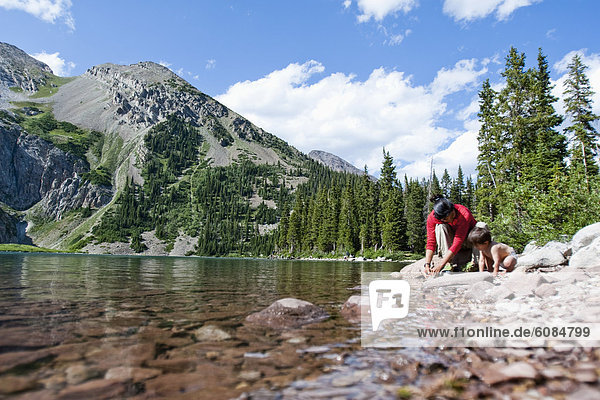 Espe  Populus tremula  Wasserrand  Außenaufnahme  Sohn  See  Landschaftlich schön  landschaftlich reizvoll  Spiel  braun  Mutter - Mensch  10  Colorado  Monat  alt