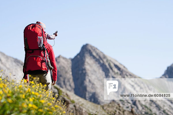 Espe  Populus tremula  Rucksack  Außenaufnahme  tragen  Reise  füllen  füllt  füllend  Berg  Landschaftlich schön  landschaftlich reizvoll  Rucksackurlaub  Wildblume  Wiese  braun  Mutter - Mensch  Colorado