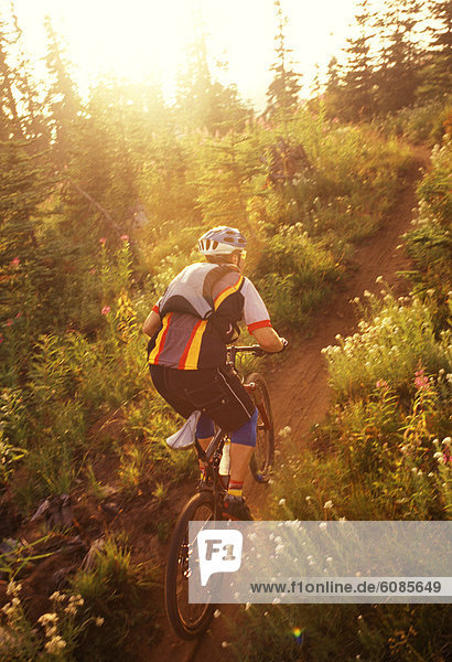 A mountain bike rider rides up a trail just outside Mount Rainier National Park at sunset.