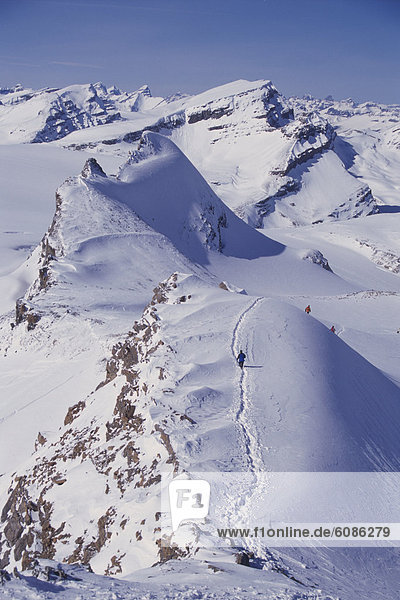 Group descending a peak on a ski tour along world famous Wapta Traverse on Wapta Icefields.