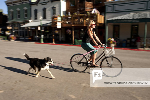 Woman riding her bike down Elk Avenue with her dog alongside  Crested Butte  Colorado.