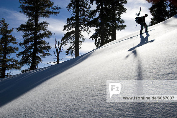 A young man carries a snowboard on his back  while hiking with snowshoes up a mountain covered with fresh snow in Incline Village  Nevada.