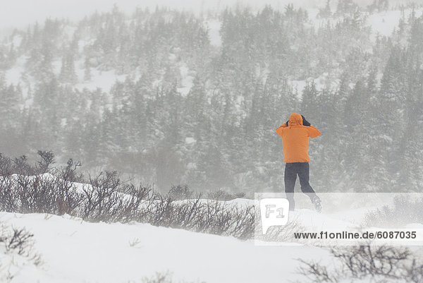 Mann  folgen  Sturm  wandern  jung  Alaska  Anchorage