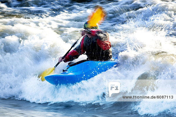 A male kayaker battles rapids on the Clark Fork River  Missoula  Montana.