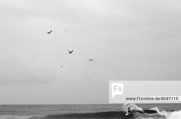 A surfer performs a turn on a wave on the Gold Coast  Queensland  Australia.